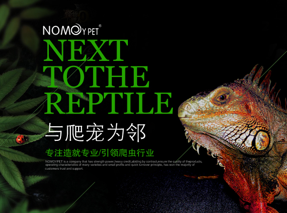 三明浙江爬虫用品nomoypet,浙江爬虫用品高档
